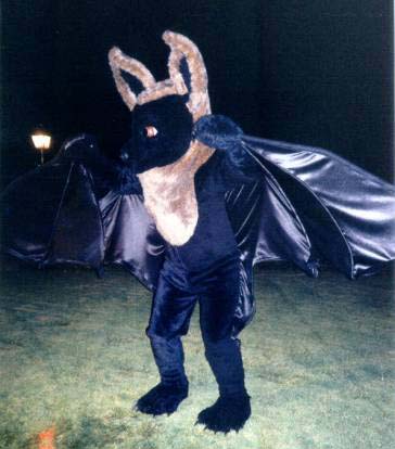 Bat Playing in the Dark